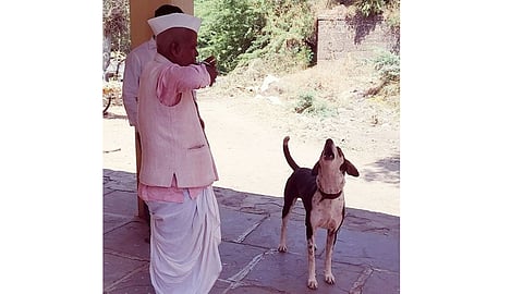 The sound of a conch from a dog in zare village sangli