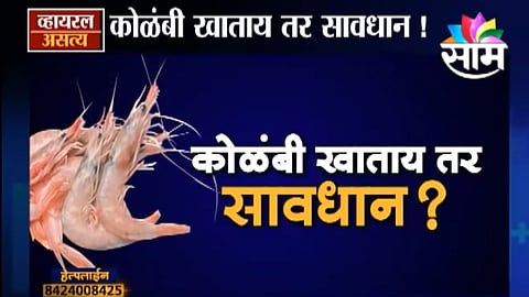 Viral Satya : कोळंबी खाताय तर सावधान ! (Video)