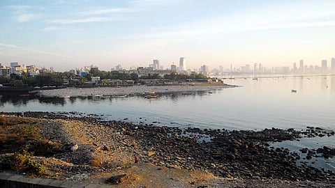 मुंबईकरांच्या पाण्यासाठी पालिकेचा मोठा निर्णय, समुद्राचे पाणी करणार गोडे