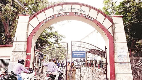 देवनार पशुवधगृहात ताडपत्री घोटाळा?