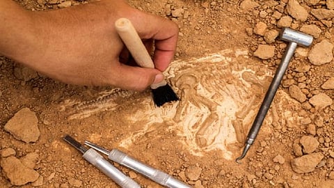 archaeology1