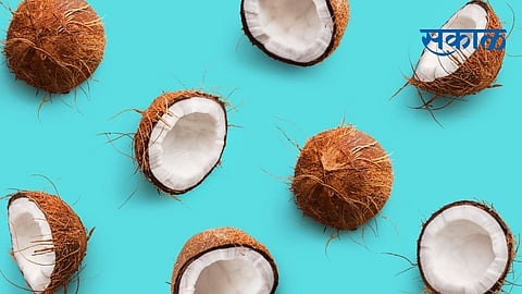 coconut.