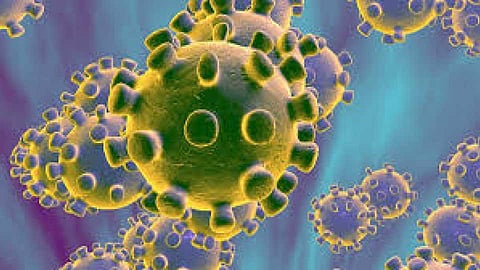 The number of corona disease patients in Solapur increased by 40 during the night