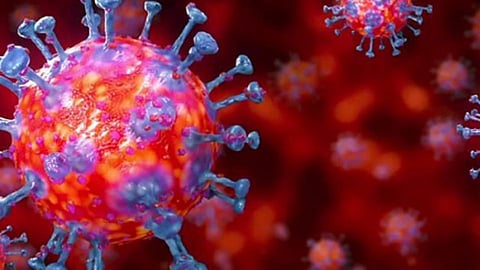 Rain and cloud might actually help prevent the spread of coronavirus