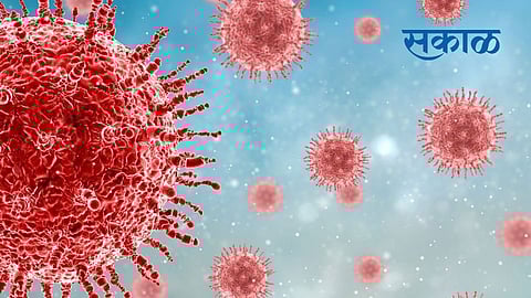  Coronavirus Update  ,new covid19 cases 