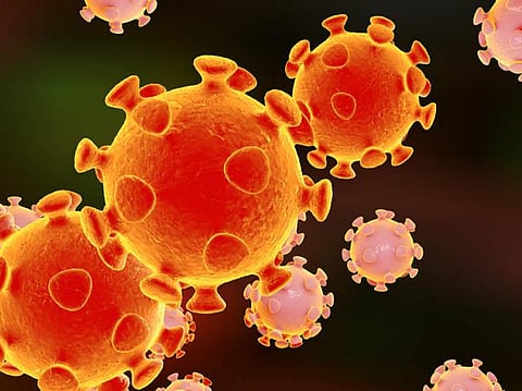 coronavirus update