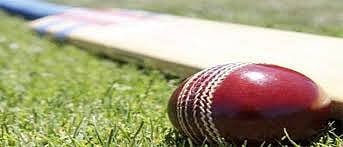 cricket.jpg