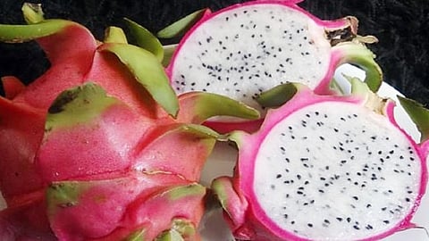 'ही' परदेशी फळे बाजारात दाखल; ग्राहकांना पडलीये त्यांची भुरळ..