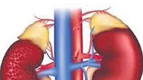 Akola News: Another victim of kidney disease in 16 hours