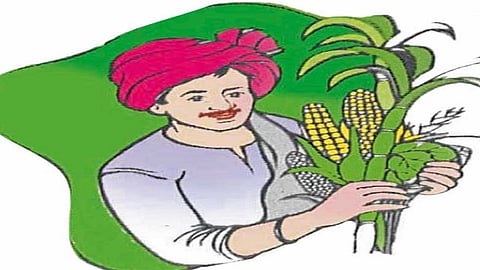 rupees 15 lakh return to government by rich farmers in ratnagiri under the kisan policy