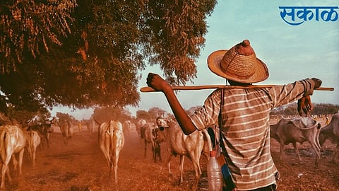 Interest on farmers loan of Rs 3 lakh will be waived kolhapur district bank