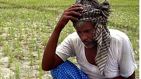 Farmer News