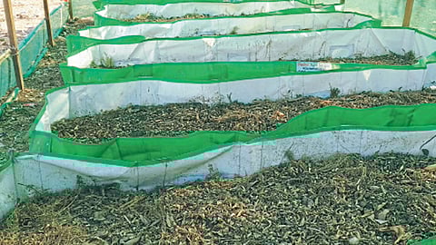 शिराळ्यामध्ये ओल्या कचऱ्यापासून खतनिर्मिती