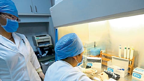 तापातील चाचण्या