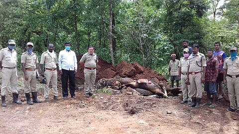 Two gawas killed in train collision near Gunji