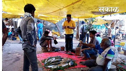 The poultry business was in disarray in Gadchiroli