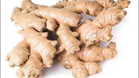 farmer success story in guhagar kokan marathi news