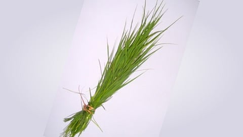 harali durva