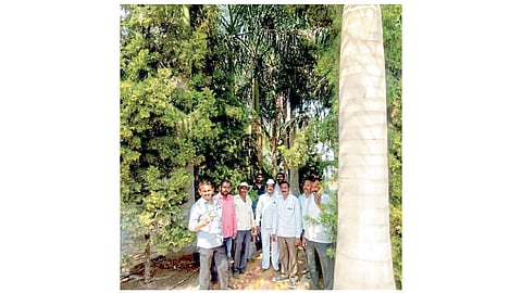 ग्रामस्थांकडून सरकारच्या मदतीशिवाय १८ हजार झाडांचे संवर्धन