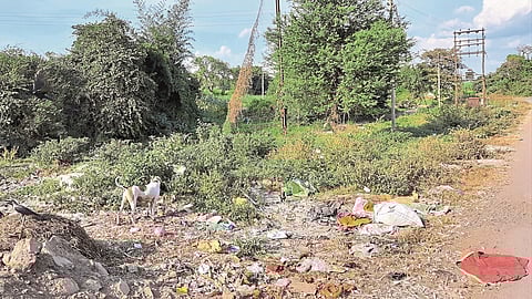 Is Kotmai Odha unclean even after paying Rs 74 lakh in Kadegaon?