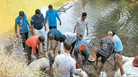 वाह, क्या बात है! वाढदिनी गटविकास अधिकाऱ्यांनी बांधले केळघर परिसरात बंधारे