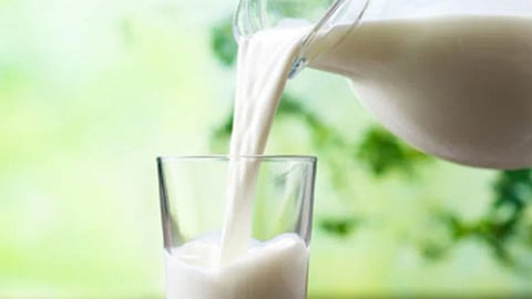 आज जागतिक दूध दिवस: जाणून घ्या A2 दूधाचे अविश्वसनीय फायदे