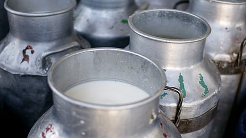 milk