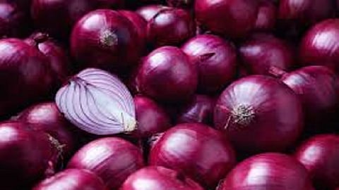 Onion prices doubled Consolation to growers  450 per 10 kg onion in wholesale market 