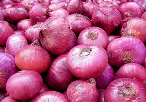 onion