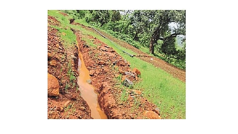 Digging in the farmland without asking the farmers ...