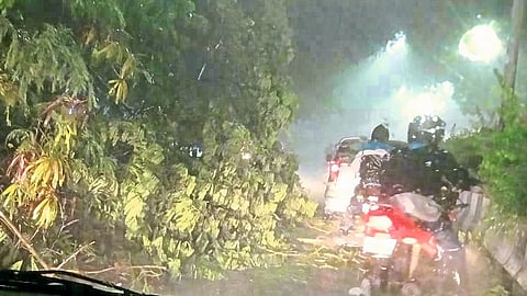 rain-maharashtra