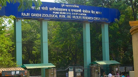 rajiv-gandhi-zoo-pune