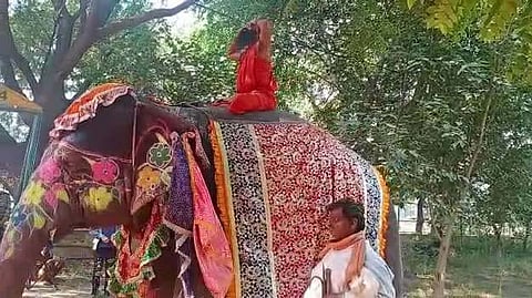 Baba Ramdev video of Elephant Yoga viral  