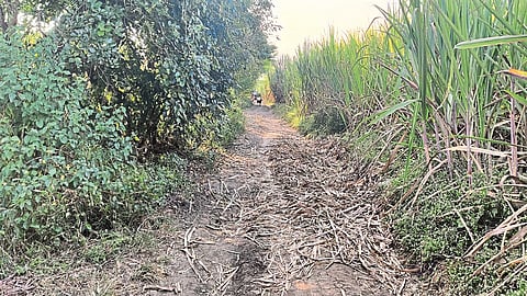 The Nimbalak-Borangaon road remained 3-4 feet due to encroachment