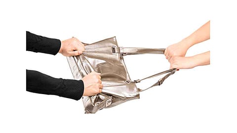 पर्स लांबवणारी महिलांची टोळी गजाआड