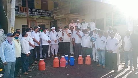 BJP Former MLA Madhukarrao Peechad agitation in Akola taluka for milk price