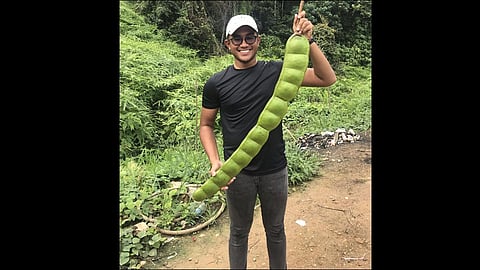 youth shared giant petai picture video goes viral