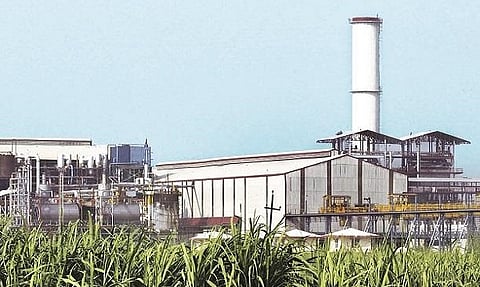 Chimney to be lit from October 25; This year the shugar mills will starts a month before