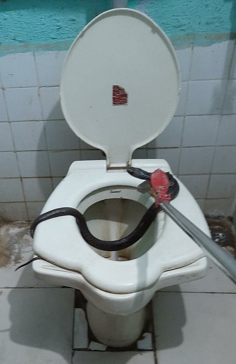 file photo