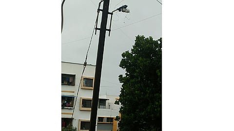 swad-rasa.jpg