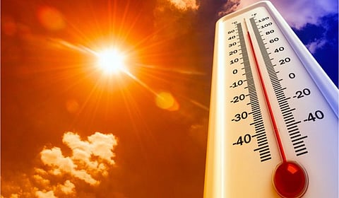 temperature 