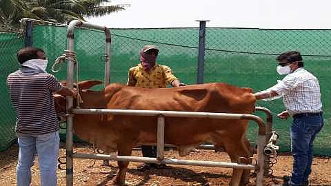veterinary department