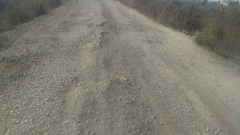vizora