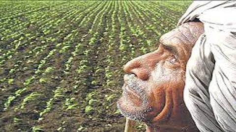 Farmers Facing drought