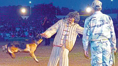 चित्तथरारक कसरतींनी प्रेक्षकांची मने जिंकली 