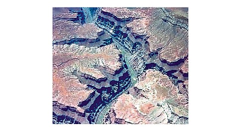 आधी कवच, मग उत्क्रांती!