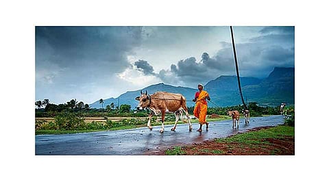 पावसाचा आकृतिबंध समजून घेणे गरजेचे