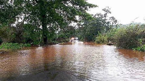 कोल्हापूर - गगनबावडा मार्गावर पुराचे पाणी; वाहतूक बंद 