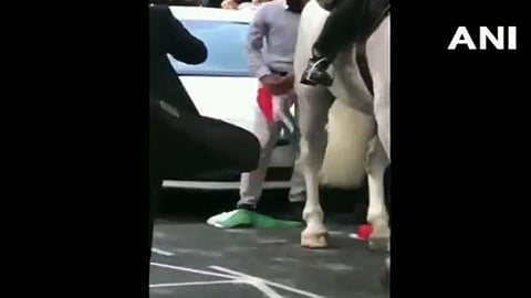 लंडनमध्ये तिरंग्याचा अपमान झाला नाही सहन अन् ती सरसावली