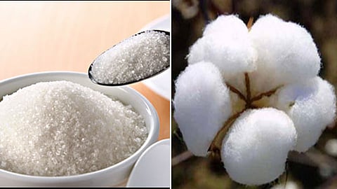 साखर, कापसाच्या भावात घसरण